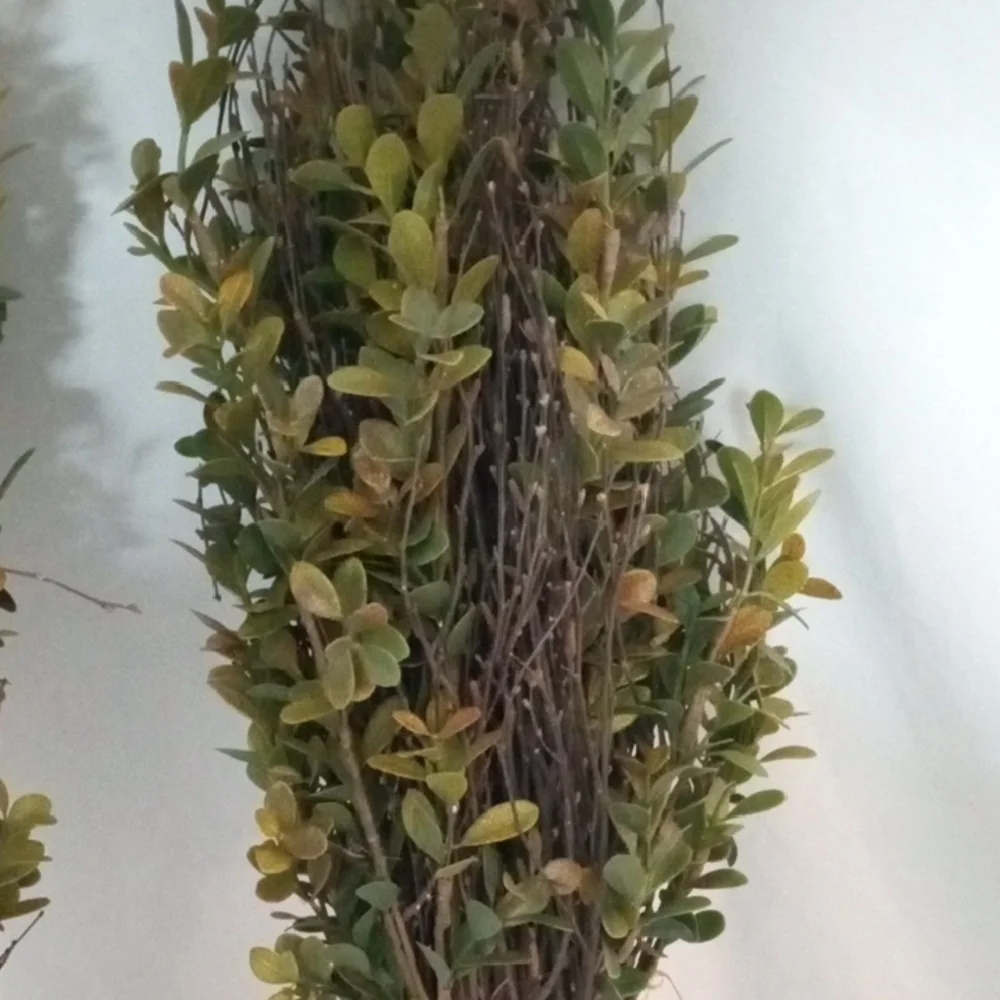 2 Preserved Boxwood Topiary Plant Bundles Rustic Farmhouse Decor 20